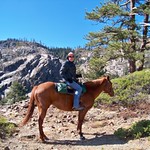 His and Her horses!