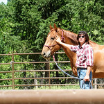 Relaxed horse Sheas compassion shows